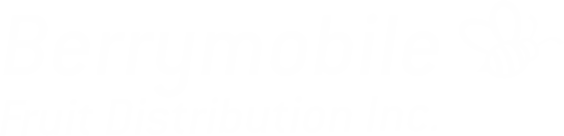 Berrymobile Fruit Distribution Inc.